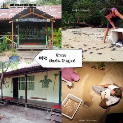 Juara  Turtle Project - Kuantan